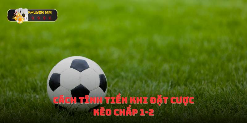 Cách tính tiền khi đặt cược kèo chấp 1-2