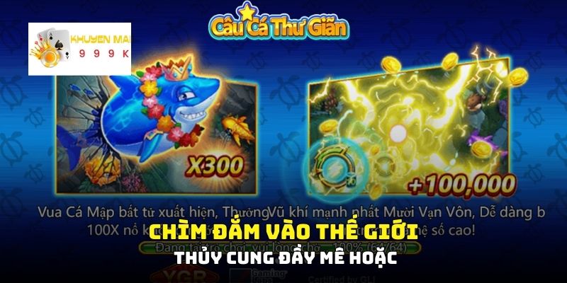 Chìm đắm vào thế giới thủy cung đầy mê hoặc